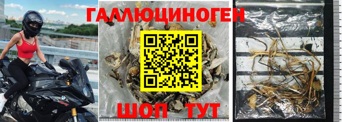 Галлюциногенные грибы Magic Shrooms Белгород