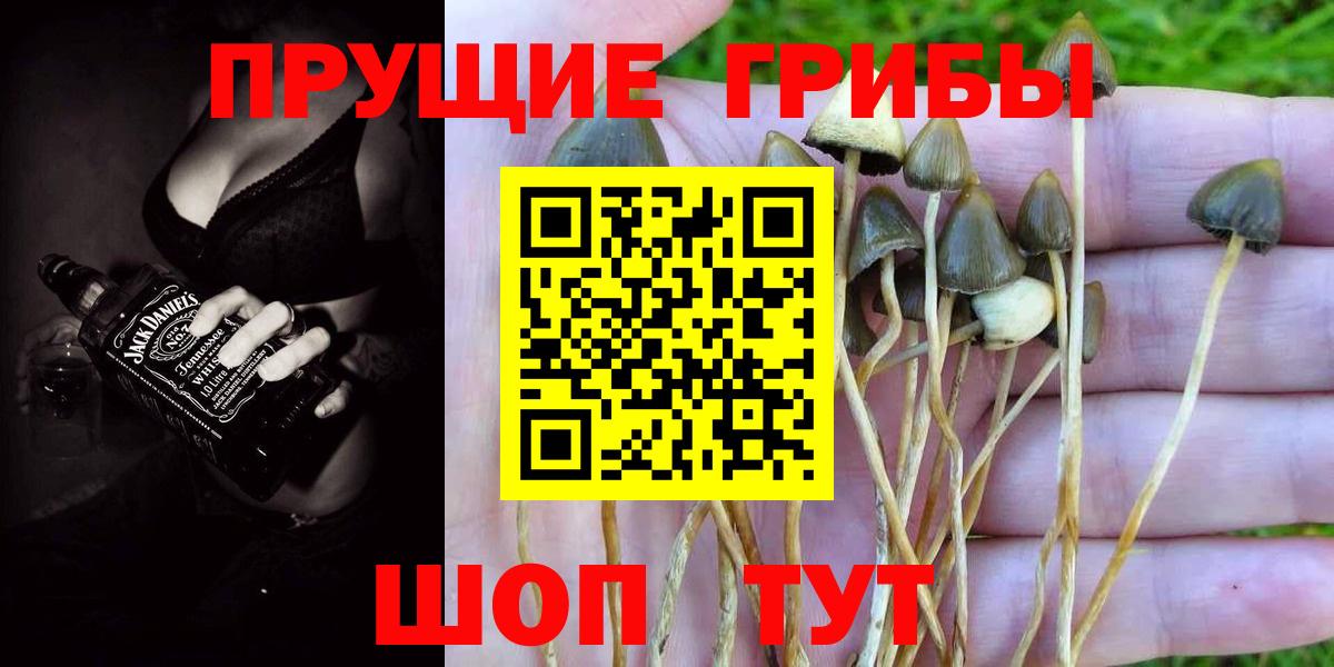 Белгород  Галлюциногенные грибы MAGIC MUSHROOMS  Вход с VPN  Галлюциногенные грибы мухоморы 